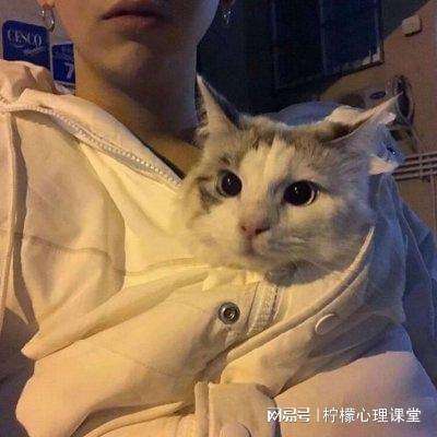 天书群侠录游戏官方下载