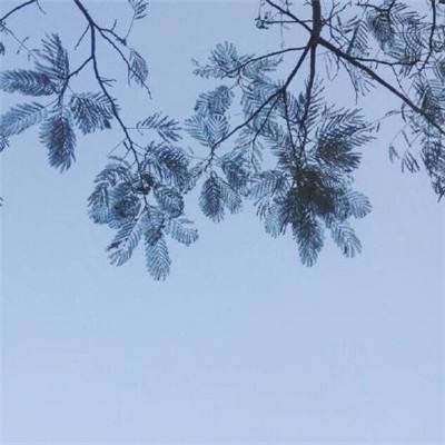 taptap奶牛镇的小时光礼包版下载